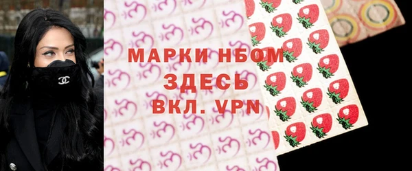 твердый Гусев