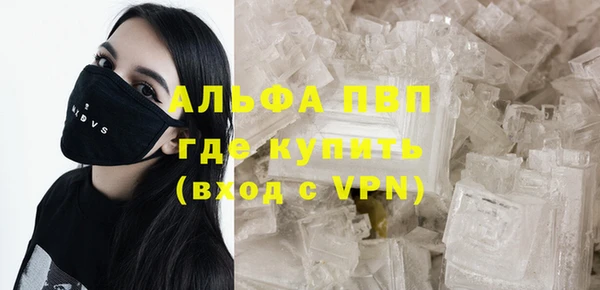 прущие грибы Дмитров