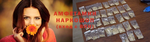 прущие грибы Дмитриев