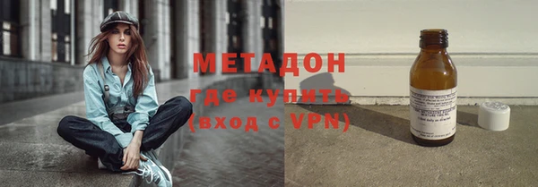 прущие грибы Дмитров