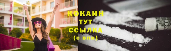 прущие грибы Дмитров