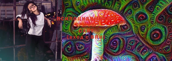 прущие грибы Дмитриев
