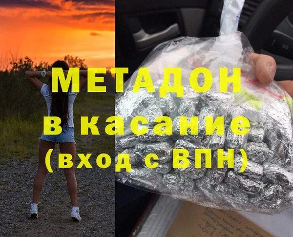 прущие грибы Дмитров