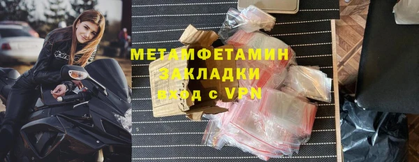 прущие грибы Дмитров