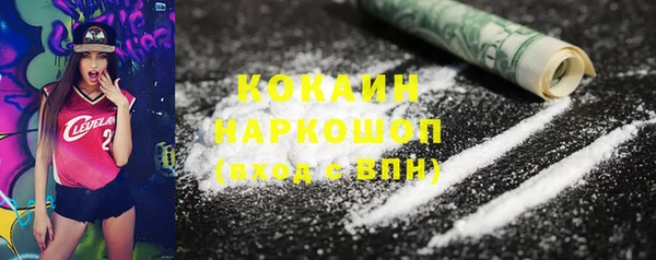 прущие грибы Дмитриев