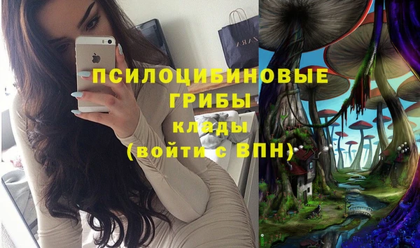 прущие грибы Дмитриев
