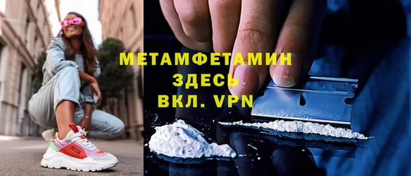 прущие грибы Дмитров