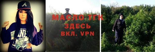 прущие грибы Дмитров