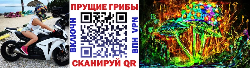 Псилоцибиновые грибы прущие грибы  где можно купить наркотик  Питкяранта 